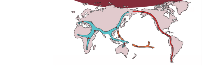 L'impegno del Dipartimento di Sanità pubblica e malattie infettive per la promozione e la tutela della salute delle persone migranti
